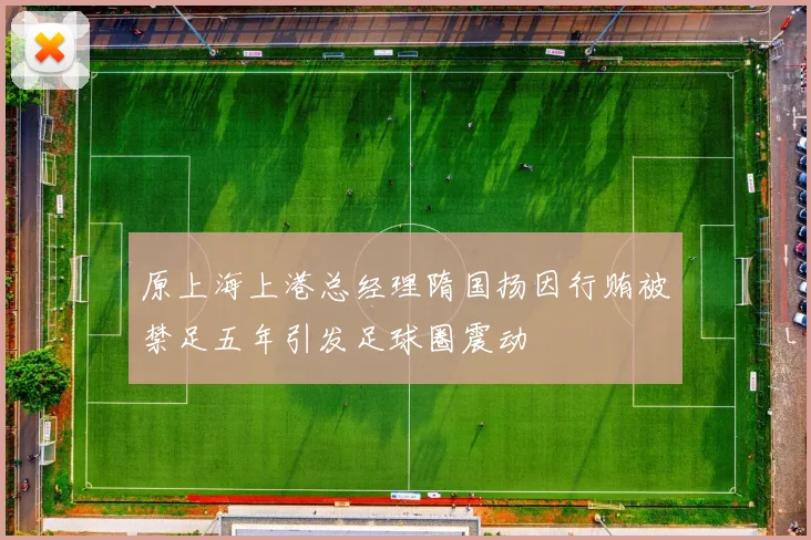 原上海上港总经理隋国扬因行贿被禁足五年引发足球圈震动